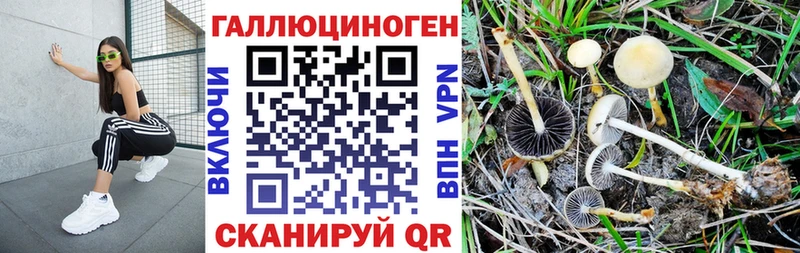 Галлюциногенные грибы Psilocybine cubensis  купить закладку  Верхотурье 